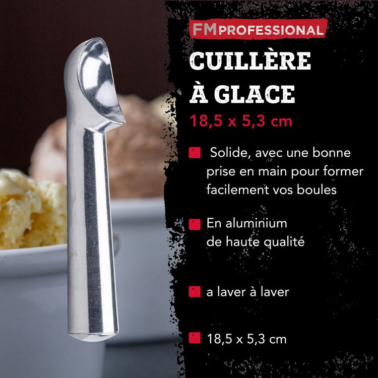 Ensemble de 2 Cuillères à glace FM Professional
