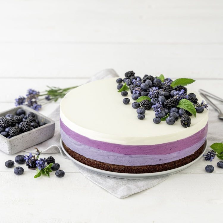 Ensemble de 2 Moules à charnière rond de 28 cm Dr. Oetker Back Harmonie