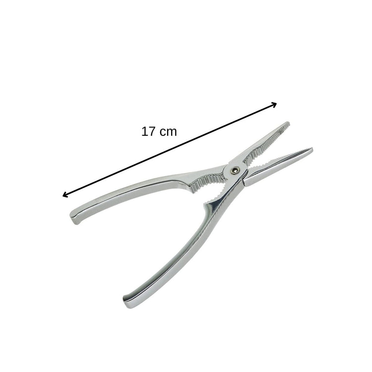 Ensemble de 2 Pinces à crustacés et à Homard 17 cm Fackelmann