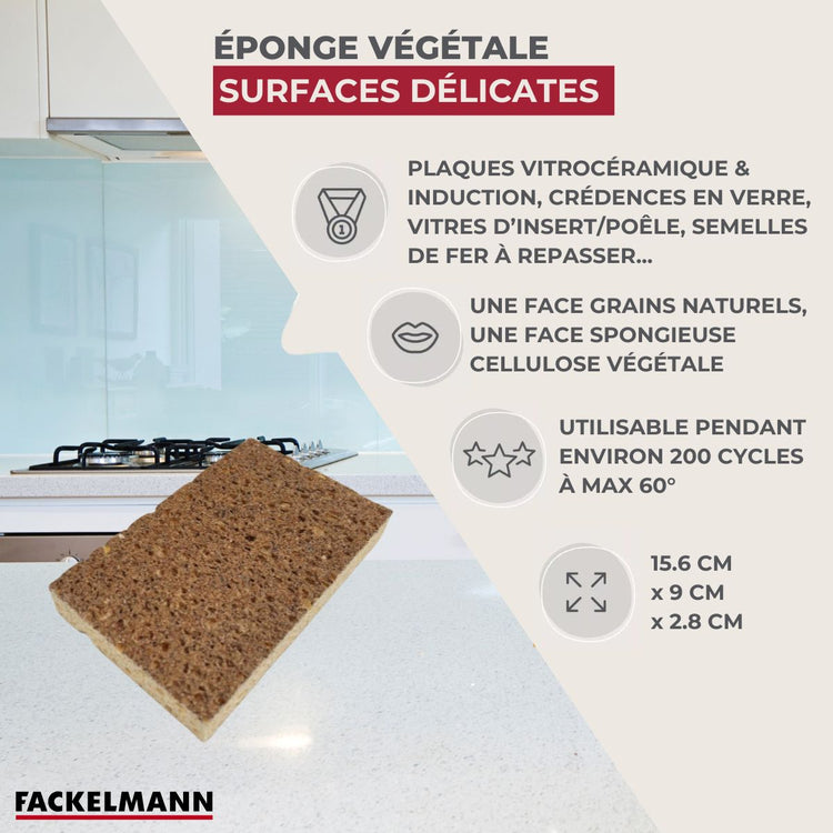Éponge Végétale Multi-Surfaces fragiles Fackelmann Tecno