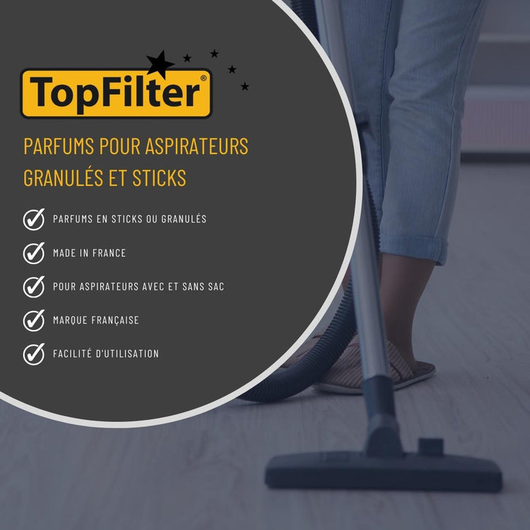 Lot de 2 désodorisants aspirateur parfum vanille Top Filter Accessoires