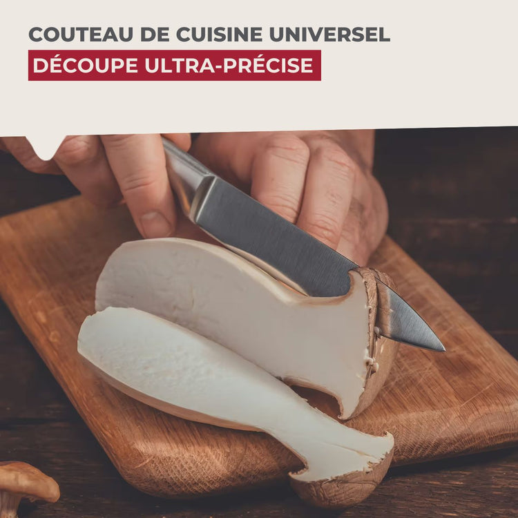 Ensemble de 2 Couteaux de cuisine universel 24 cm en tout Nirosta Star