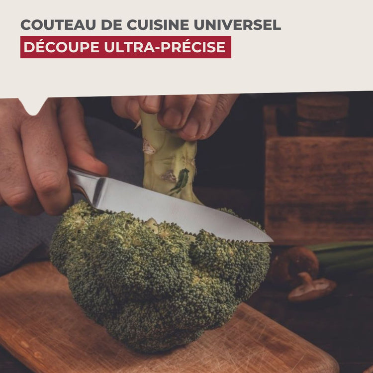 Ensemble de 6 Couteaux de cuisine professionnel 24 cm lame crantée Nirosta Star