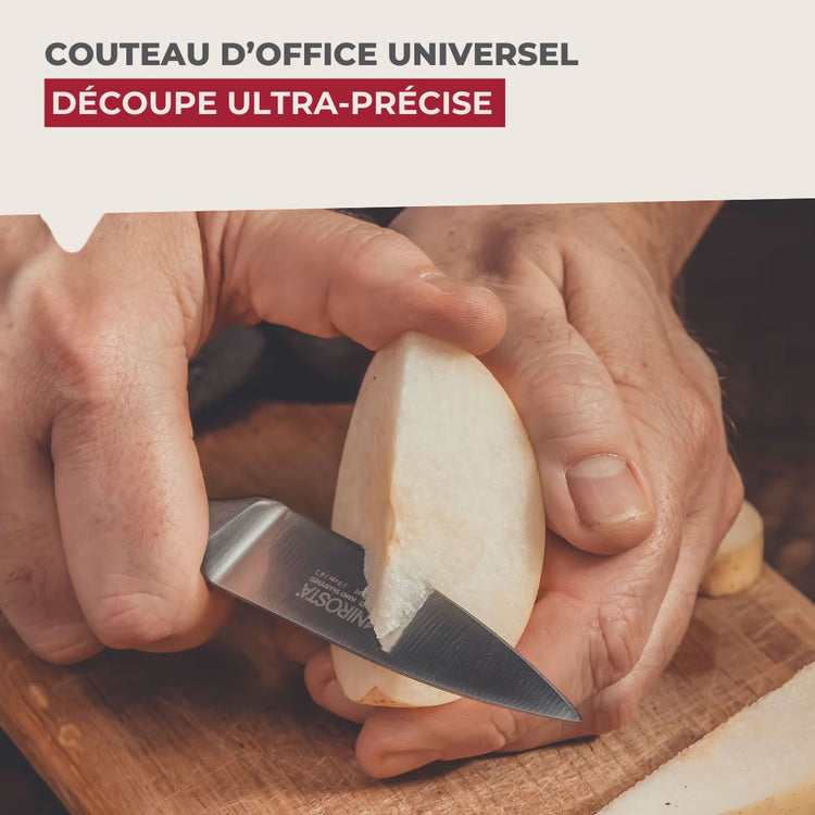 Ensemble de 4 Couteaux d'office en inox 20 cm en tout Nirosta Star