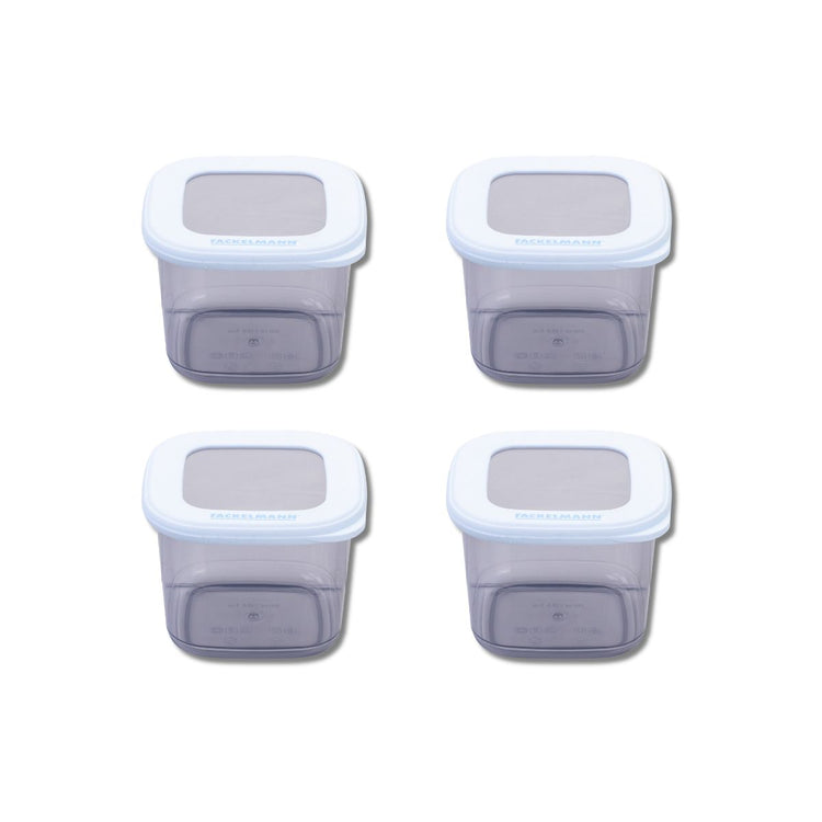 Lot de 4 Boîtes à Provisions 0,55 Litre Fackelmann Storage