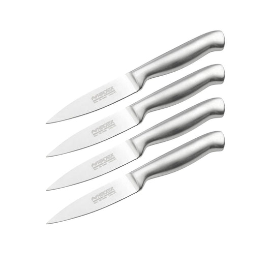 Ensemble de 4 Couteaux d'office en inox 20 cm en tout Nirosta Star