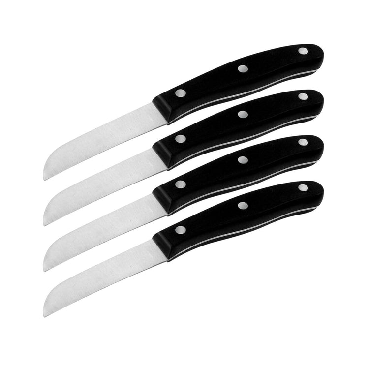 Set de 4 couteaux de cuisine 20 cm en inox Nirosta Fit