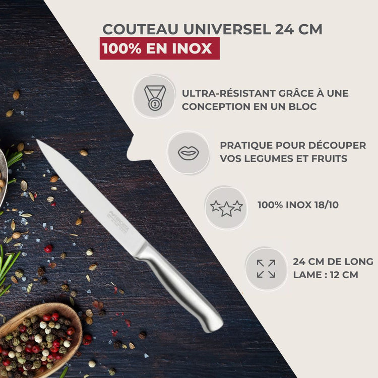 Set de 4 couteaux de cuisine universels 24 cm en inox Nirosta Star