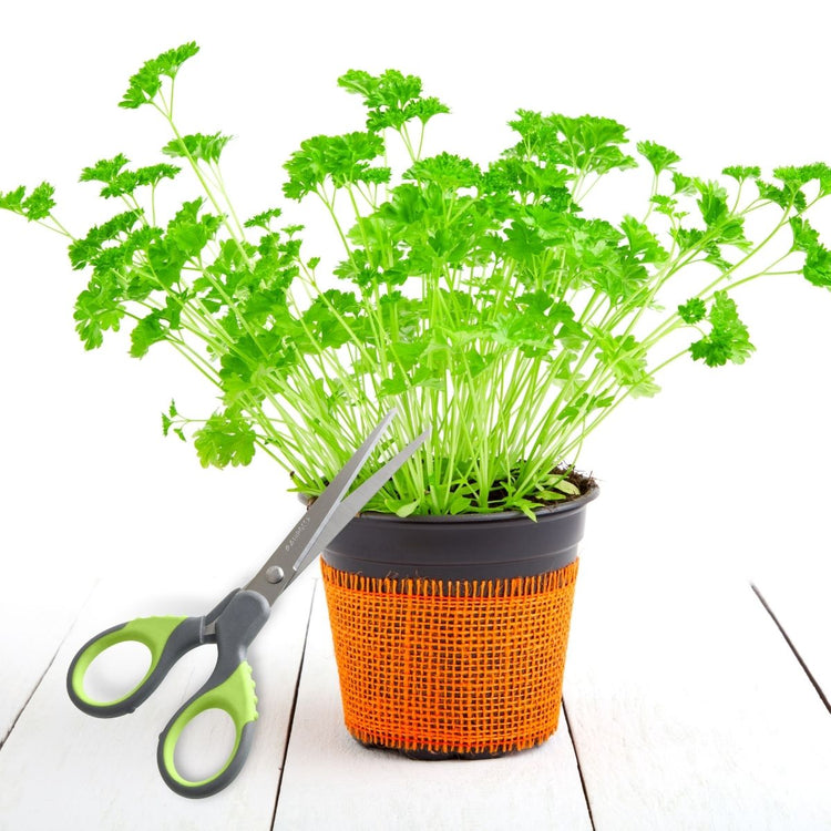 Ensemble de 2 Ciseaux universels Nirosta Fit