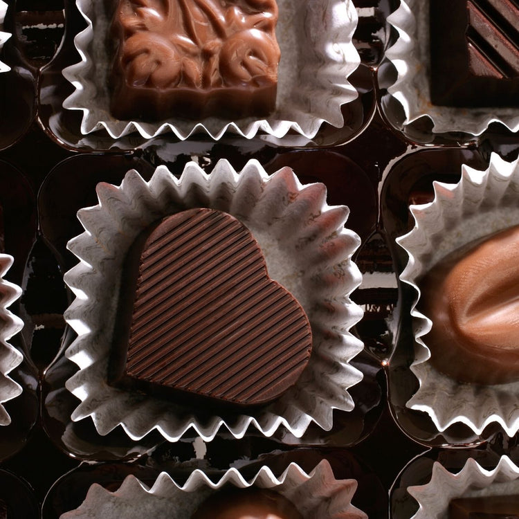 Lot de 240 moules à muffins en papier blanc Zenker