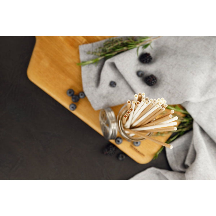 Pailles en papier écoresponsable Fackelmann Bar Concept