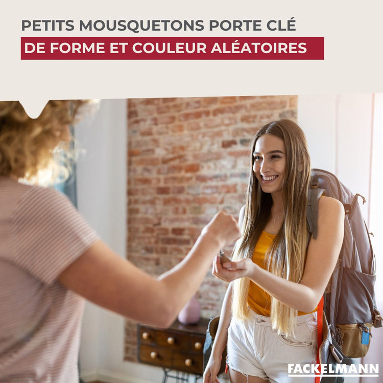 Petit mousqueton porte clé Fackelmann Tecno