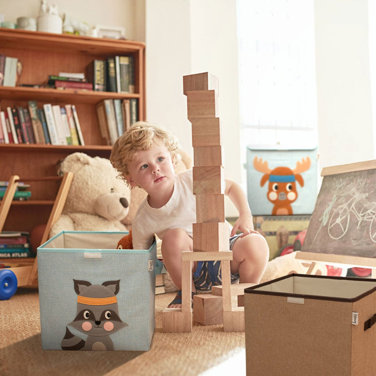 Boîte de rangement "raton laveur" avec couvercle, compatible avec l'étagère IKEA KALLAX Lifeney