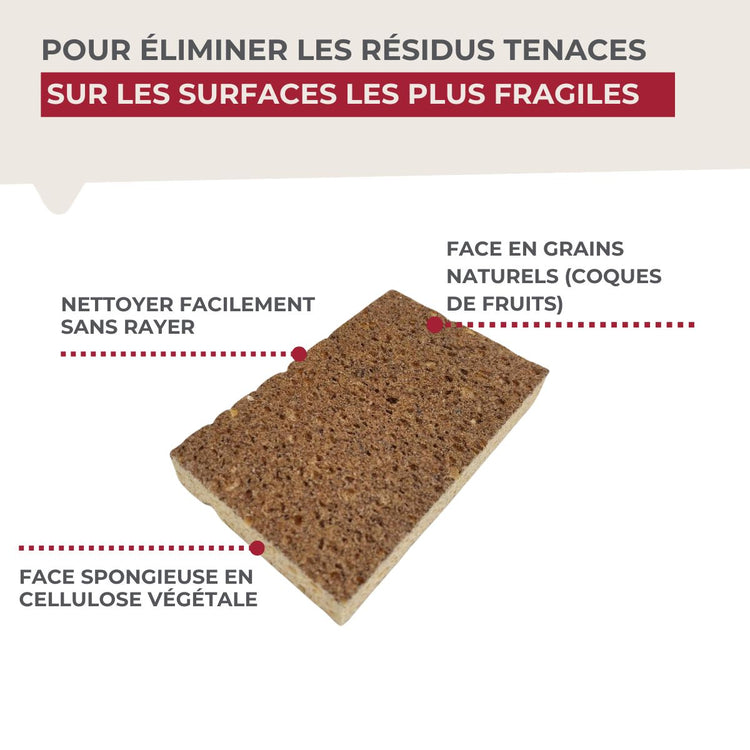 Éponge Végétale Multi-Surfaces fragiles Fackelmann Tecno
