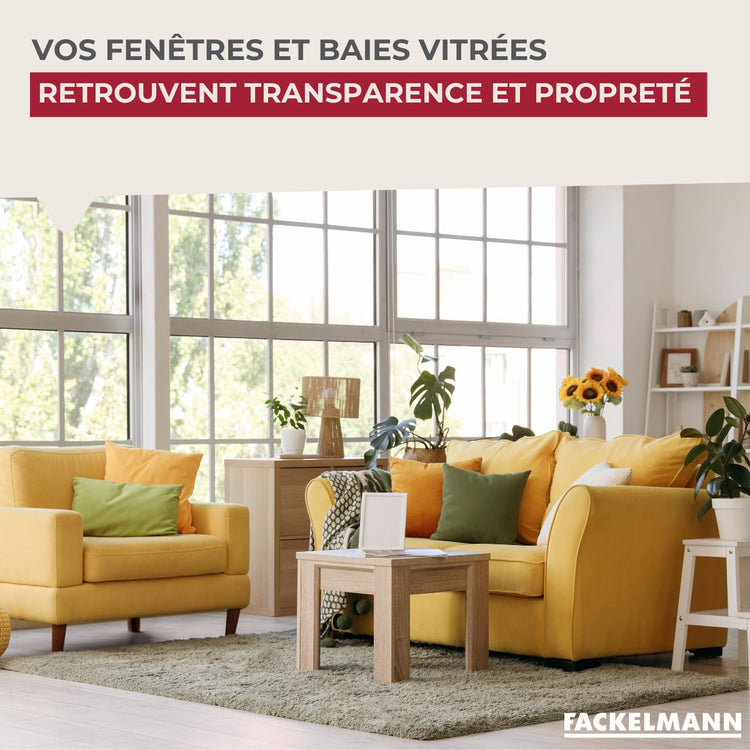 Nettoyant concentré pour lave vitres 500 ml Fackelmann