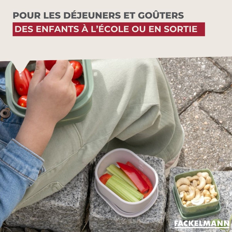 Lot de 2 lunchbox 500ml avec 2 ustensiles de cuisine Fackelmann Storage