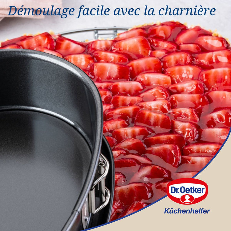 Lot de 2 moules à charnière 25/27 cm en acier Dr oetker Tradition