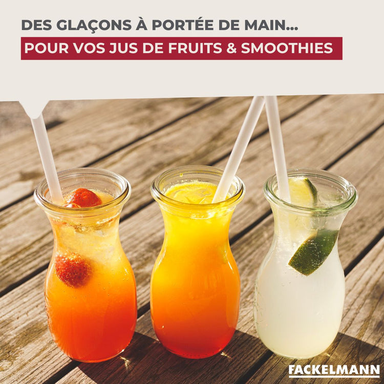 Lot de 2 Bac à glaçons 14 glaçons Fackelmann Bar Concept
