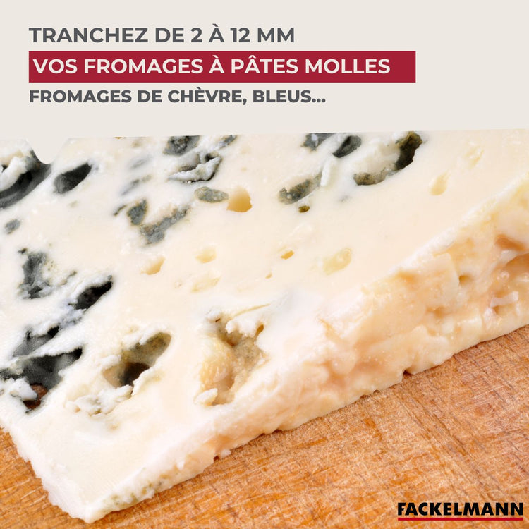 coupe tranche fromage en inox fackelmann spécialités culinaires