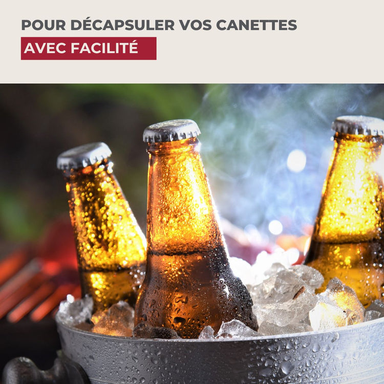 Tire-bouchon limonadier Fackelmann Bar Concept