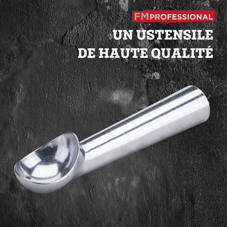 Ensemble de 2 Cuillères à glace FM Professional