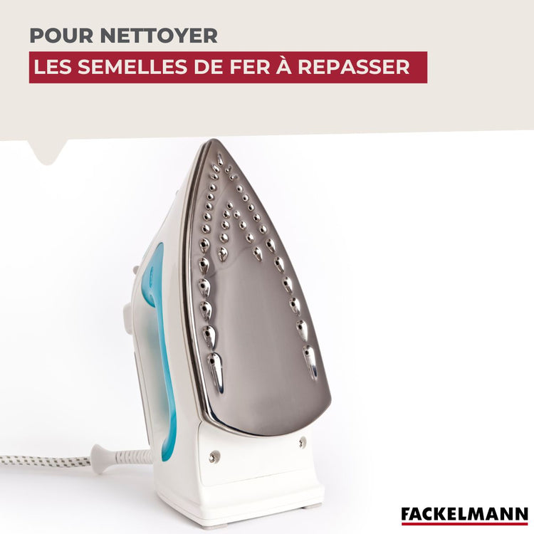 Éponge Végétale Multi-Surfaces fragiles Fackelmann Tecno