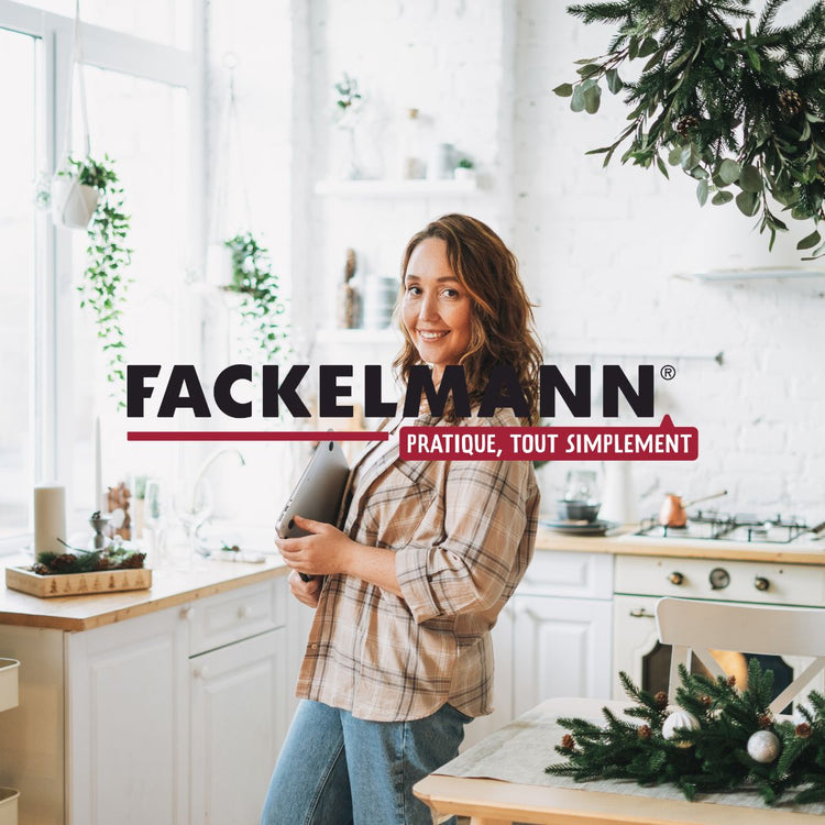 Nettoyant concentré pour lave vitres 500 ml Fackelmann