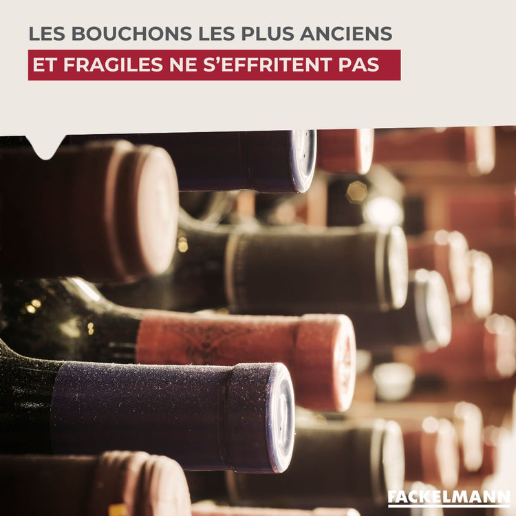 Tire-bouchon à feuille Fackelmann Bar Concept