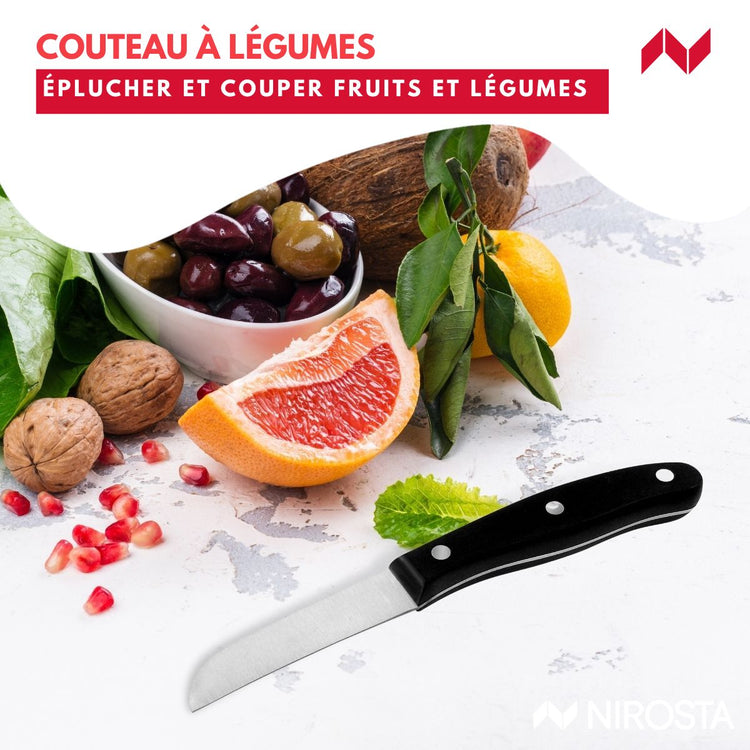 Ensemble de 4 couteaux 22 à 33 cm Nirosta Fit et 1 support mural magnétique