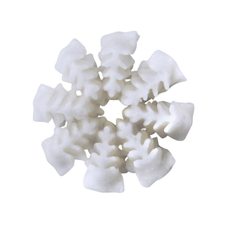 Douille motif Cristal de glace et lot de 4 poches à douille Dr Oetker