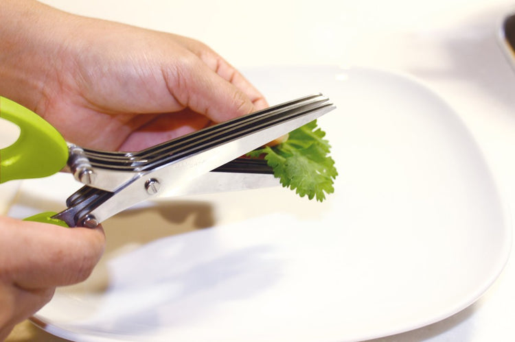 Set de 2 ciseaux pour herbes aromatiques en plastique et inox Fackelmann Basic
