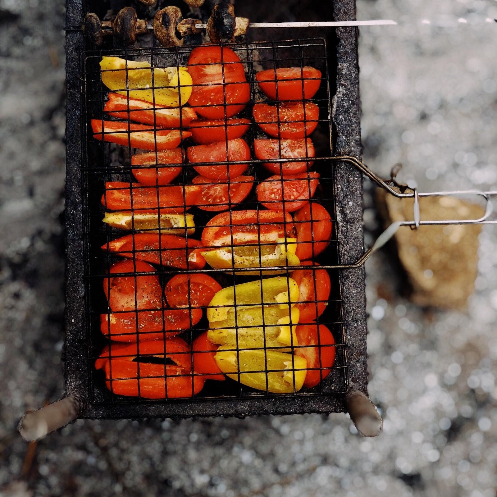 Les grilles à barbecue
