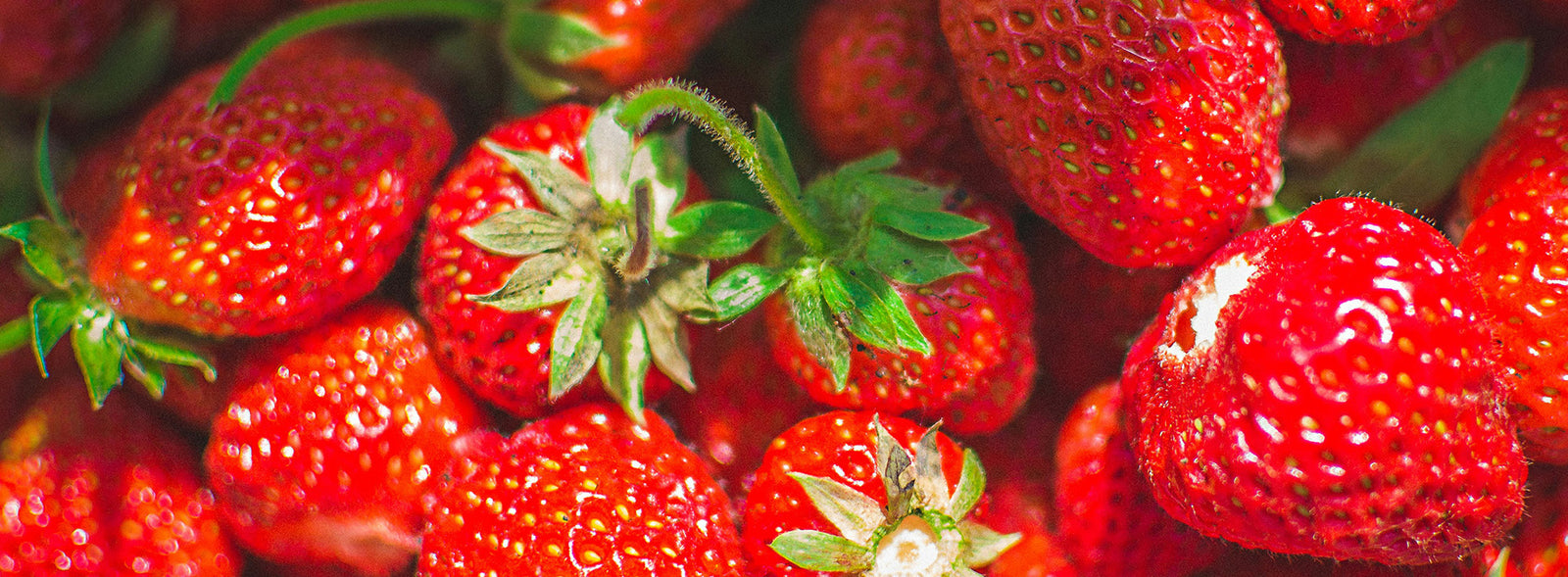 La saison des confitures est ouverte !