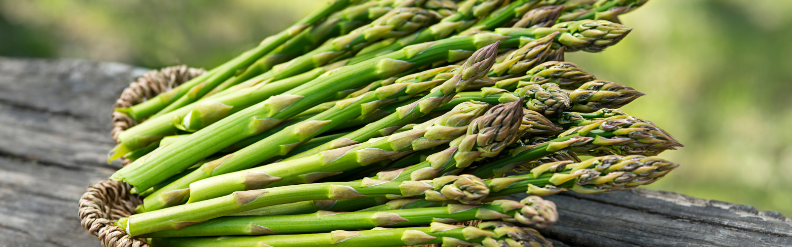 Cuiseur à Asperges XXL HENDI - Marmite Vapeur Inox 18/0 - Pour Légumes Et Poisson