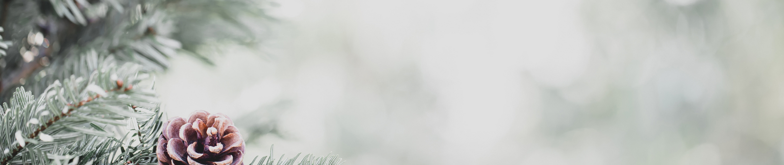 Les rouleaux à pâtisserie de Noël