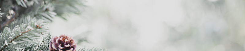 Les rouleaux à pâtisserie de Noël