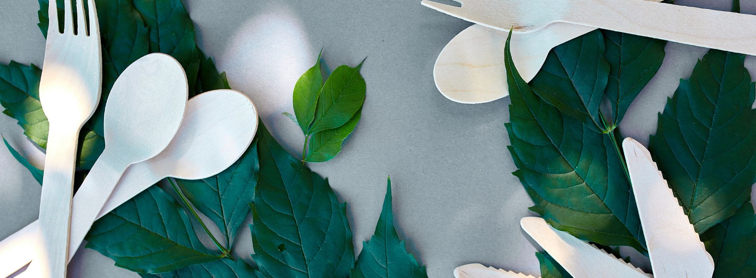 Couverts jetables
