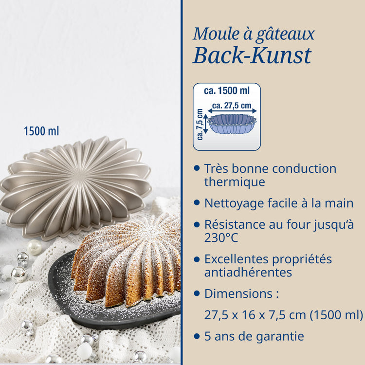 Ensemble de 2 Moules à gâteaux ovale 27,5 x 16 cm Dr.Oetker Back-Kunst