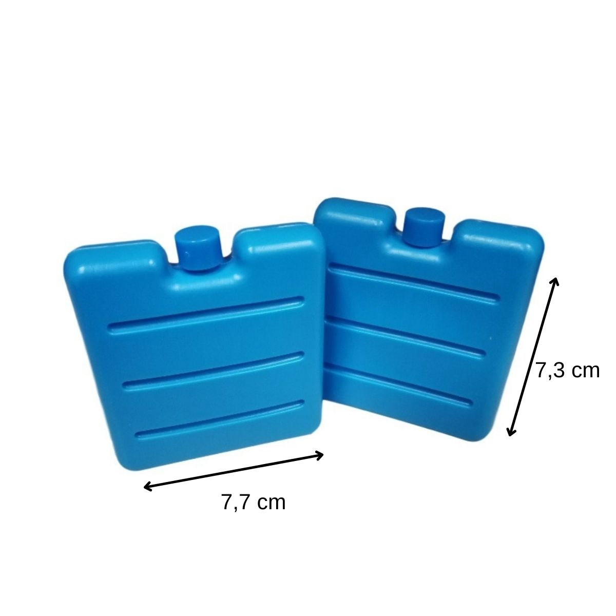 Lot de 2 pains de glace pour glacière et lunch bag Fackelmann