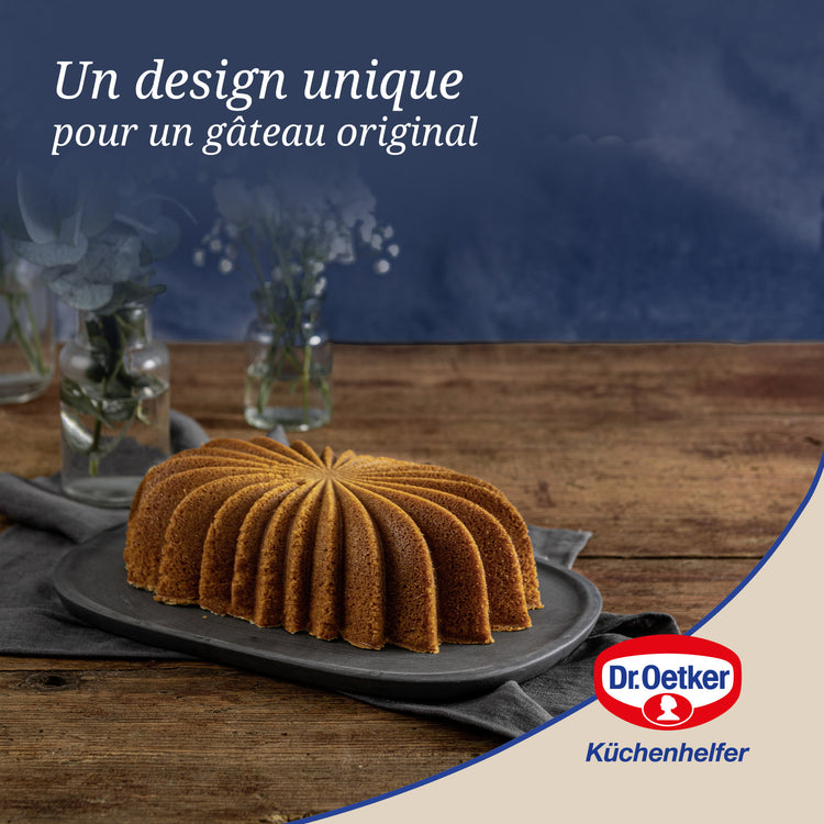 Ensemble de 2 Moules à gâteaux ovale 27,5 x 16 cm Dr.Oetker Back-Kunst