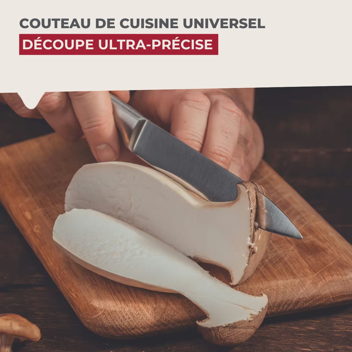 Set de 4 couteaux de cuisine universels 24 cm en inox Nirosta Star