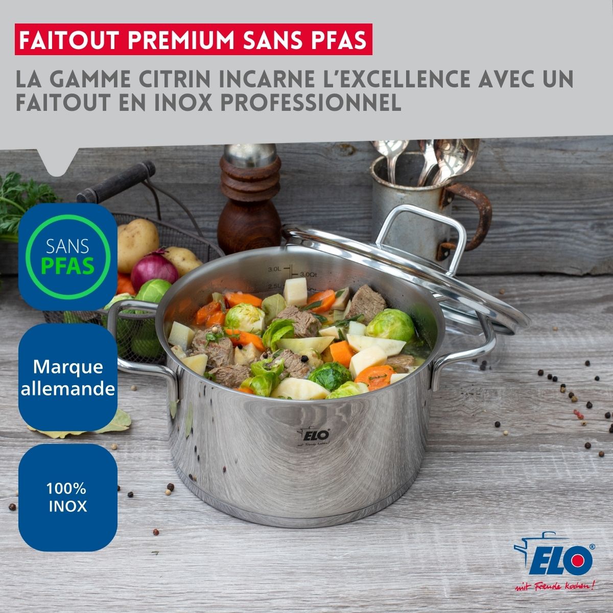 Marmite en inox avec couvercle en verre 26 cm Elo Citrin