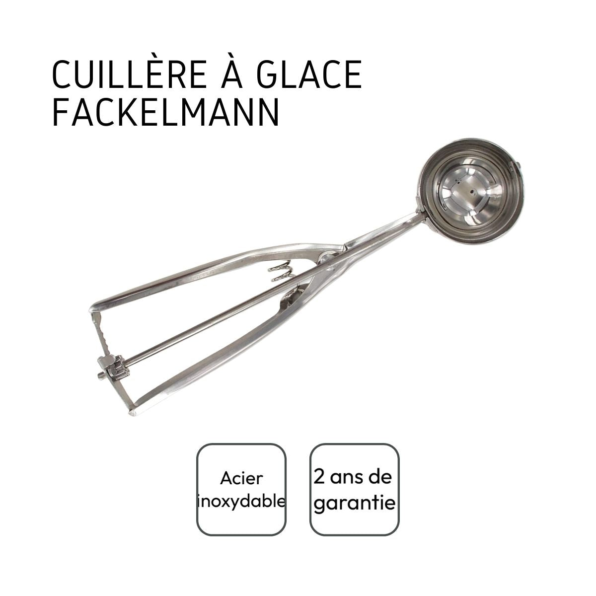 Cuillère à glace inox Fackelmann