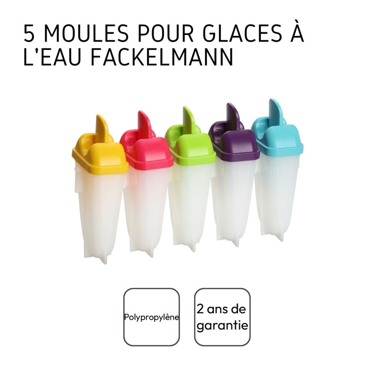 Lot de 5 moules pour glaces à l'eau maison Fackelmann