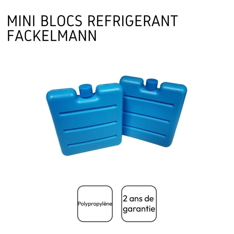 Lot de 2 pains de glace pour glacière et lunch bag Fackelmann