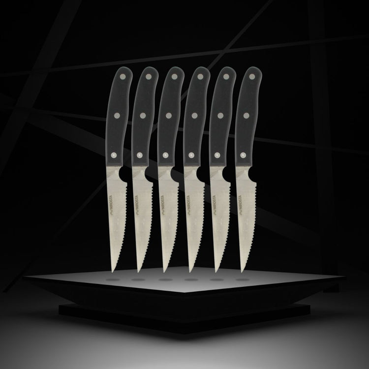 Lot de 6 couteaux à steak 22 cm Nirosta Fit