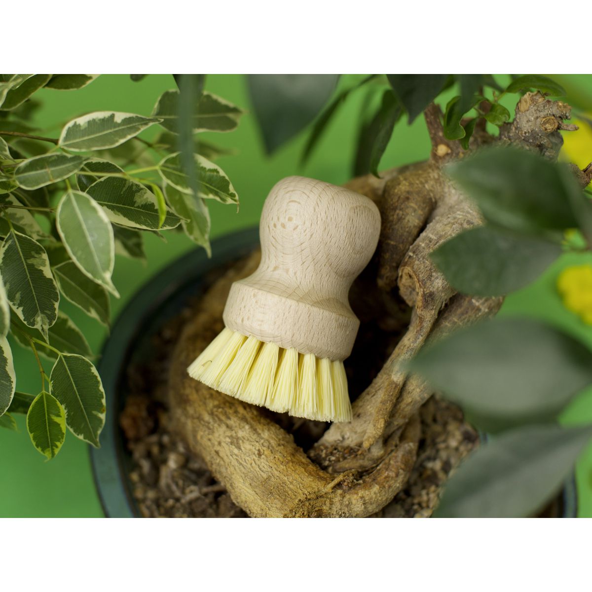 Brosse à vaisselle en bois écologique Fackelmann Eco Friendly