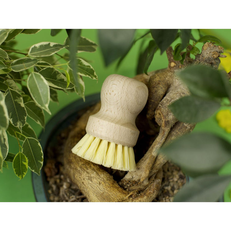 Brosse à vaisselle en bois écologique Fackelmann Eco Friendly