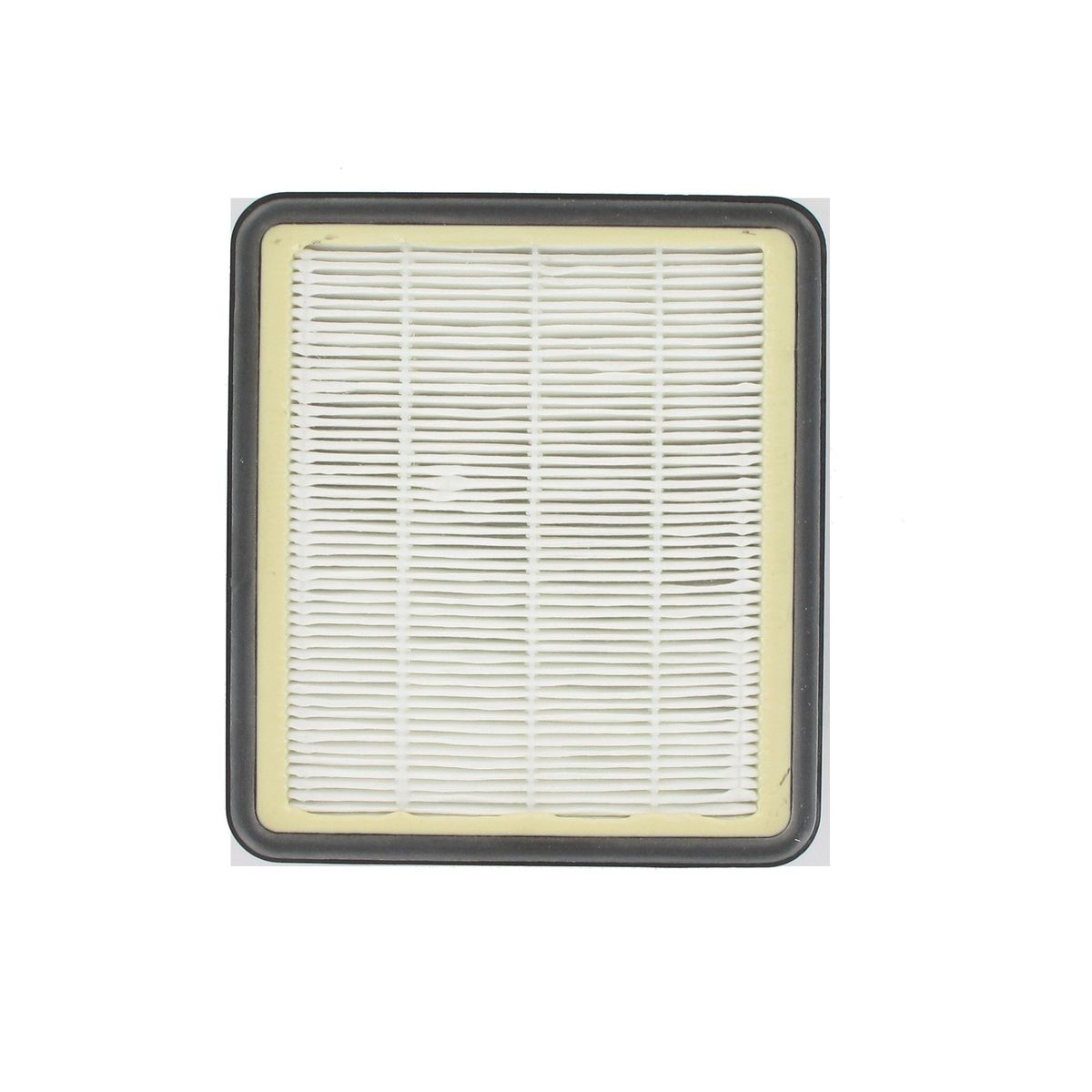 Filtre hepa pour aspirateur Hoover TopFilter