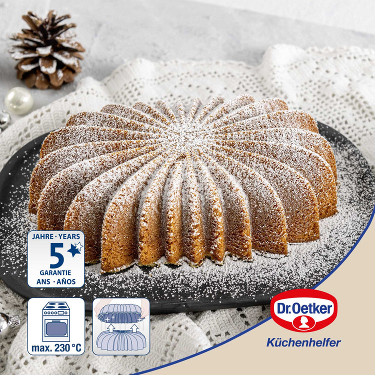 Ensemble de 2 Moules à gâteaux ovale 27,5 x 16 cm Dr.Oetker Back-Kunst